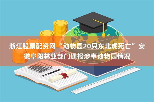 浙江股票配资网 “动物园20只东北虎死亡” 安徽阜阳林业部门通报涉事动物园情况