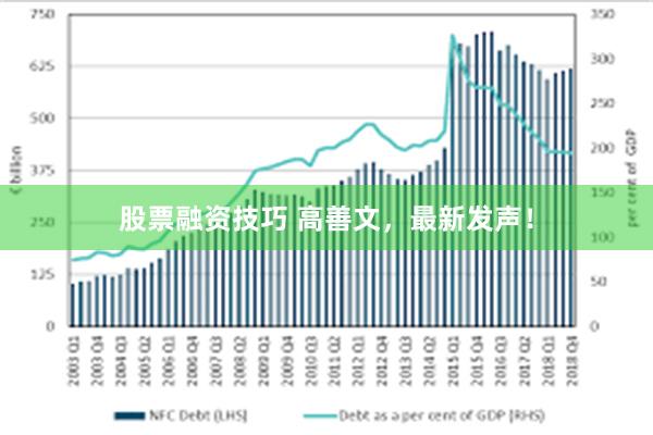 股票融资技巧 高善文，最新发声！