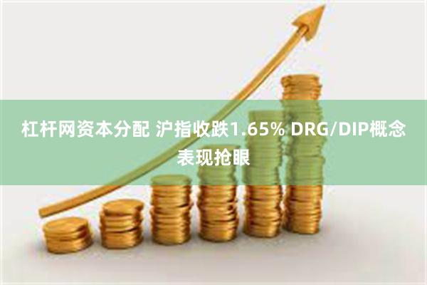 杠杆网资本分配 沪指收跌1.65% DRG/DIP概念表现抢眼