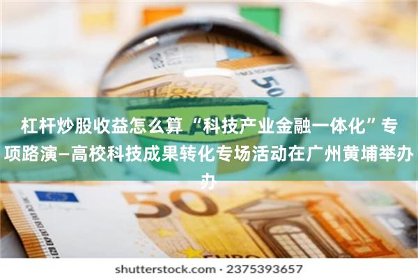 杠杆炒股收益怎么算 “科技产业金融一体化”专项路演—高校科技成果转化专场活动在广州黄埔举办