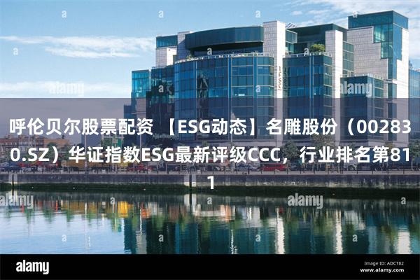 呼伦贝尔股票配资 【ESG动态】名雕股份（002830.SZ）华证指数ESG最新评级CCC，行业排名第81