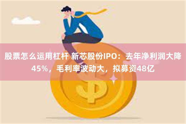 股票怎么运用杠杆 新芯股份IPO：去年净利润大降45%，毛利率波动大，拟募资48亿