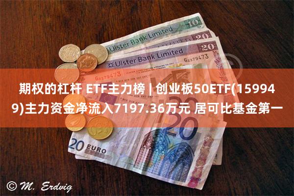 期权的杠杆 ETF主力榜 | 创业板50ETF(159949)主力资金净流入7197.36万元 居可比基金第一