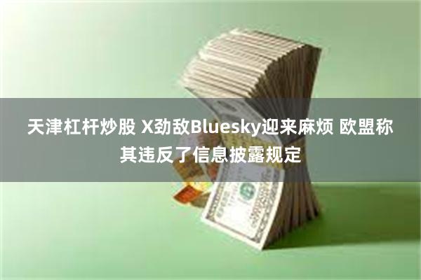 天津杠杆炒股 X劲敌Bluesky迎来麻烦 欧盟称其违反了信息披露规定